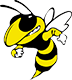 wasp_icon